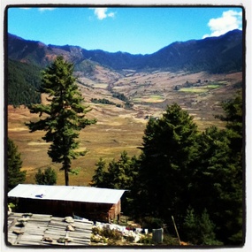 Phobjikha Valley
