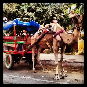 Rural Taxi, India