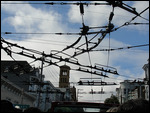 The Cables