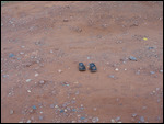 Pluggers