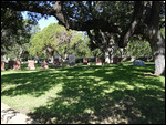 The family graveyard of the Johnson Family