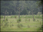 The 3 Crosses