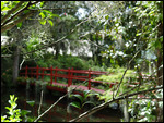 The Red Bridge