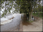 The River Bank in Uruguay