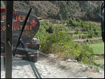  Petrol Trucks
