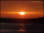 Sunset Brimstone Head