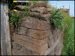 The sod bricks