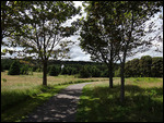 Fort Amhurst
