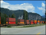 Container Train