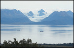 Glacier over Kachemak Bay