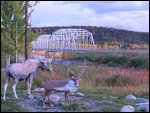 The bridge at the Roadhouse