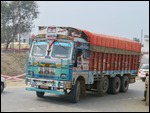 Fancy Trucks