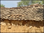Cow pats drying on the tile roof