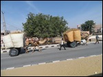 Camel Train
