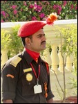 Palace guard