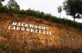 Tea Plantation Marker