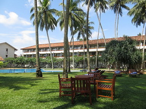 Our hotel from the gardens