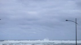 Swimmers @ Pavilion Bar & Cafe Warrnambool