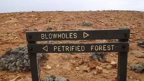 Petrified Forest