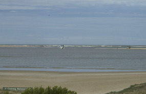 Where the Murray meets the sea