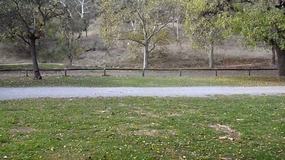 Start of bike ride to Adelaide Zoo (click for vid)
