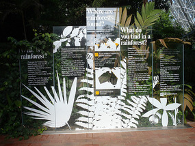 Inside the biodome - Adelaide Botanic Gardens