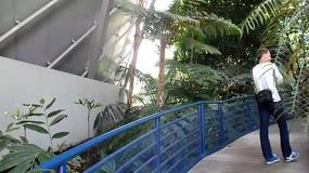 Walking through the Bicentennial Conservatory