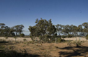 View from campsite - Great Darling Anabranch