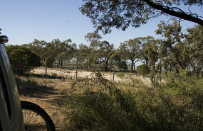 Campsite - Great Darling Anabranch