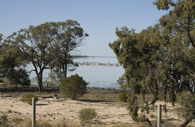 View from campsite - Great Darling Anabranch