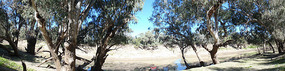 Our campsite by the Darling