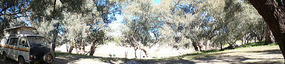 Our campsite by the Darling