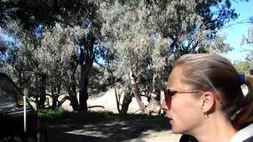 Morning at our campsite by the Darling