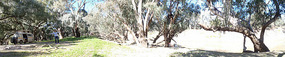Our campsite by the Darling