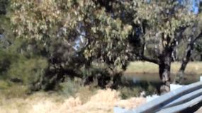 Looking around Gulargambone & Castlereagh River
