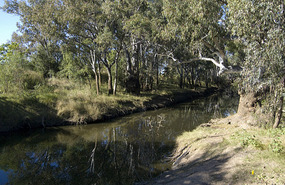 The River Walk - Gulargambone