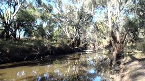 The River Walk - Gulargambone