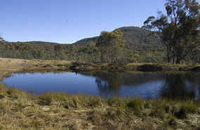 The dam - fullest we have seen in 10 years