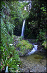 Edith Falls als erstes Highlight...