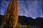 Queenstown - Paradies für alle Action-Liebhaber