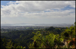 In der Ferne: Auckland und der Skytower!