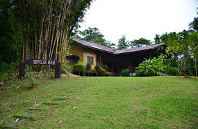 Vorgarten des Sepilok B & B