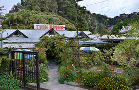 Twin Pines Hostel