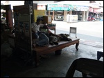 Two Thai and One Tiger Sleeping