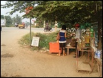 Dropped Off at Desolate Bus Stop