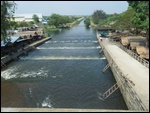 Swimming at Dam