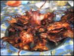 Cooked Rats
