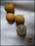Longan Fruit