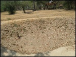 Bones in Grave Killing Fields, Cambodia