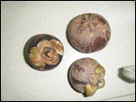 Mangosteen Fruit